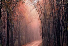 不敢懈怠，欧洲球队备战执着坚定