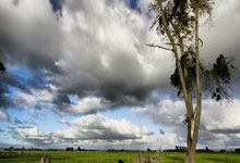 不敢懈怠，欧洲球队备战执着坚定