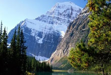 铿锵玫瑰，斗志昂扬：中国女足背靠背胜利，荣耀绽放！