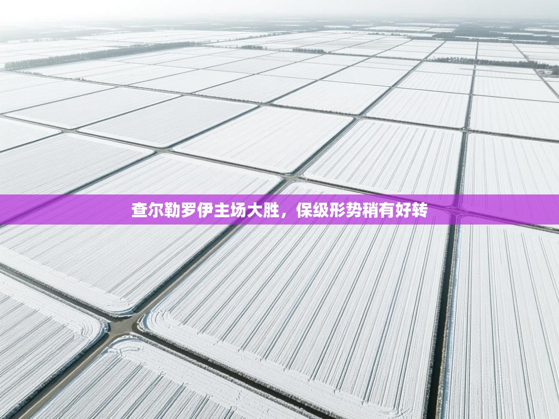 查尔勒罗伊主场大胜，保级形势稍有好转