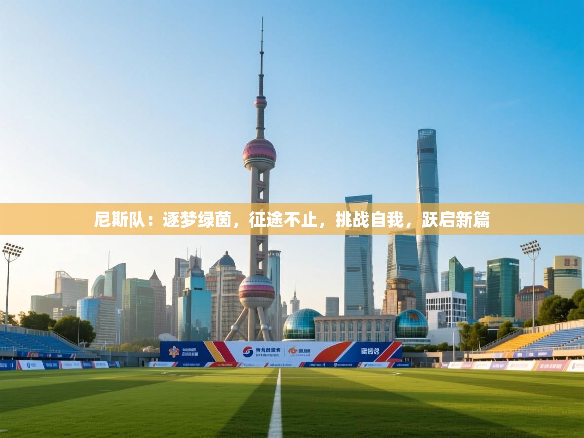 尼斯队：逐梦绿茵，征途不止，挑战自我，跃启新篇